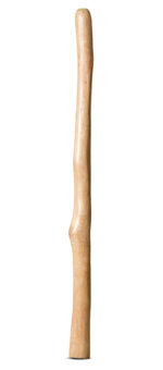 Medium Size Natural Finish Didgeridoo (TW1559)